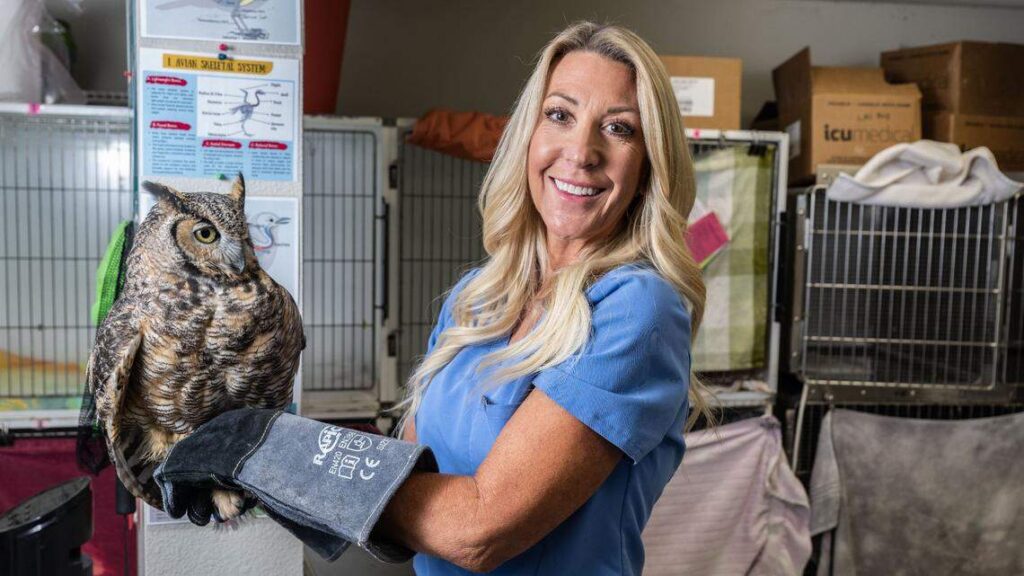 Sandra Foreman, animal care manager with Wildlife Care Association of Sacramento, on Nov. 19, 2024, says her organization is looking for donations from The Bee's Book of Dreams to build another flight cage to help rehabilitate raptors.
